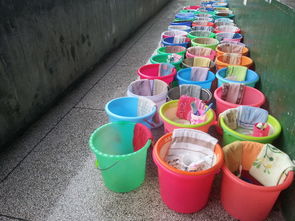 关于组织学生个人卫生用品检查的通知与意义